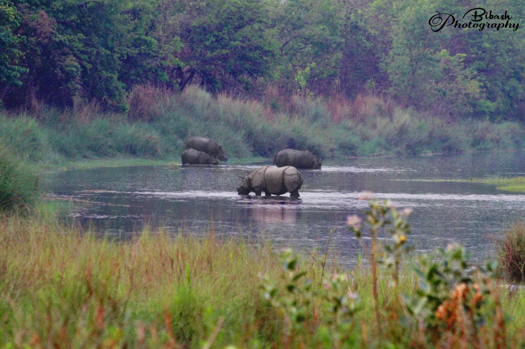 Mr. B'S Place Bardiya Exteriör bild