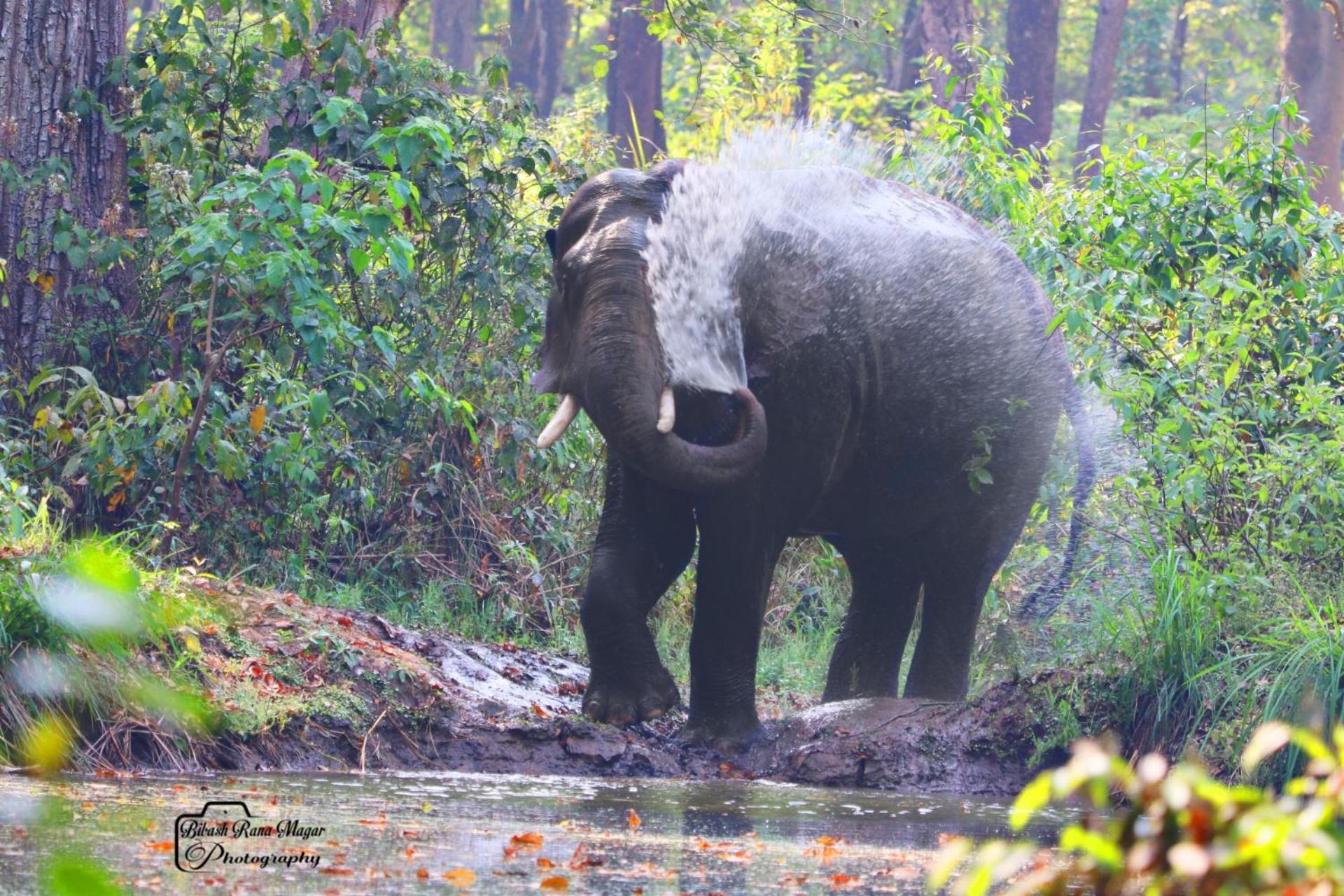 Mr. B'S Place Bardiya Exteriör bild